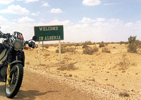 Kradblatt – Staging