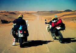 Kradblatt – Staging