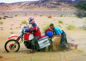 Kradblatt – Staging