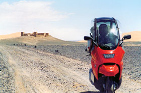 Kradblatt – Staging