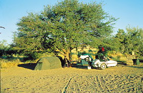 Kradblatt – Staging