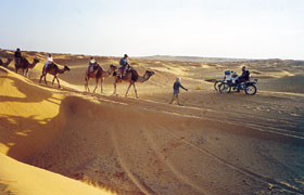 Kradblatt – Staging