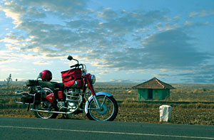 Kradblatt &#8211; Staging