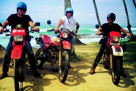 Kradblatt &#8211; Staging