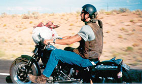 Kradblatt – Staging