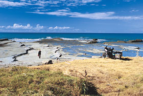 Kradblatt – Staging