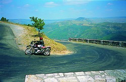 Kradblatt &#8211; Staging