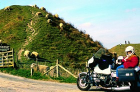 Kradblatt &#8211; Staging