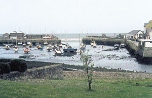 Kradblatt &#8211; Staging