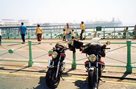 Kradblatt &#8211; Staging