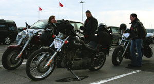 Kradblatt &#8211; Staging