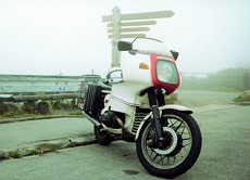 Kradblatt &#8211; Staging