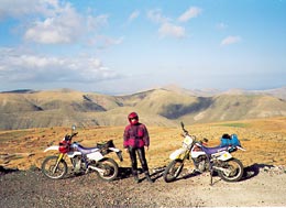 Kradblatt &#8211; Staging