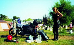 Kradblatt &#8211; Staging