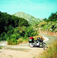 Kradblatt &#8211; Staging