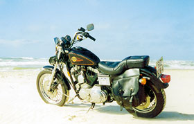 Kradblatt &#8211; Staging