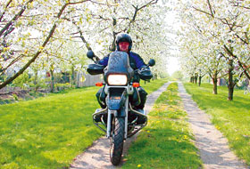 Kradblatt &#8211; Staging