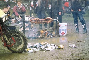 Kradblatt &#8211; Staging