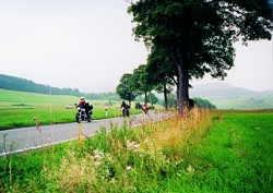 Kradblatt &#8211; Staging