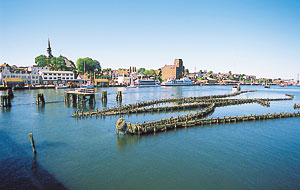 Kradblatt &#8211; Staging