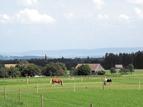 Kradblatt &#8211; Staging