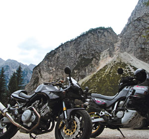 Kradblatt &#8211; Staging