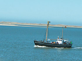 Kradblatt &#8211; Staging