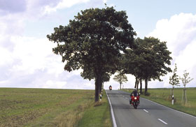 Kradblatt &#8211; Staging