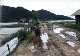 Kradblatt &#8211; Staging