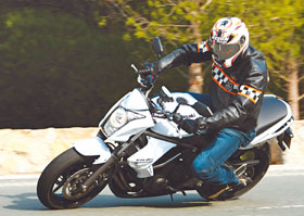 Kradblatt – Staging