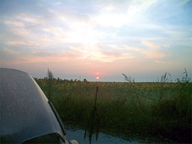 Kradblatt &#8211; Staging