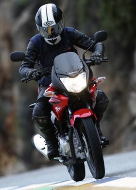 Kradblatt &#8211; Staging