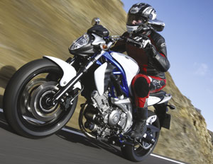 Kradblatt – Staging