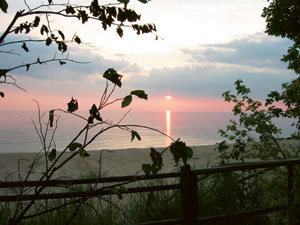 Kradblatt &#8211; Staging