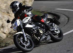 Kradblatt &#8211; Staging