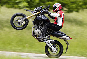 Kradblatt – Staging