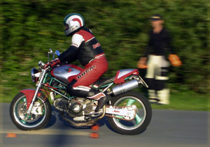 Kradblatt &#8211; Staging