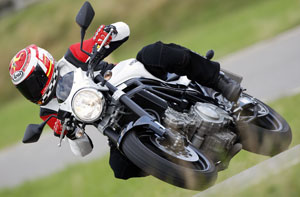 Kradblatt &#8211; Staging