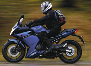 Kradblatt &#8211; Staging