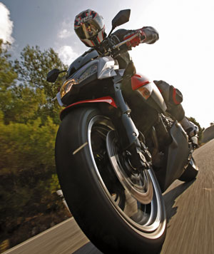 Kradblatt – Staging