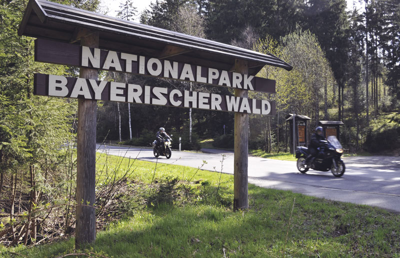 Kradblatt &#8211; Staging