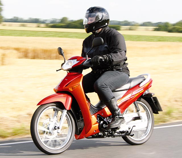 Kradblatt &#8211; Staging