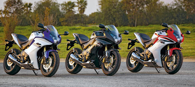 Kradblatt &#8211; Staging