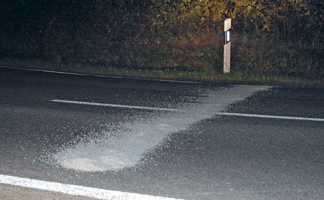 Kradblatt &#8211; Staging