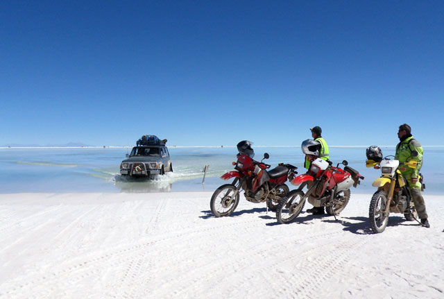 Kradblatt – Staging