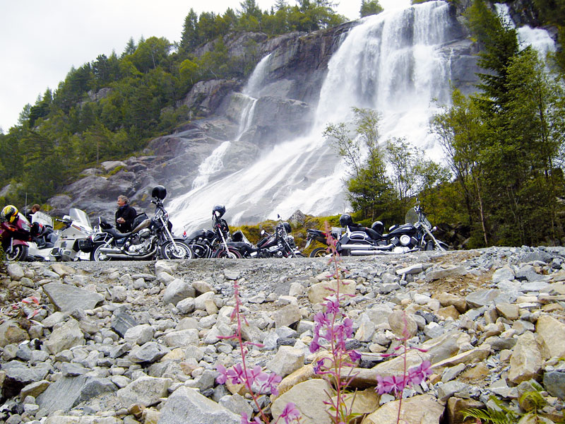 Kradblatt &#8211; Staging