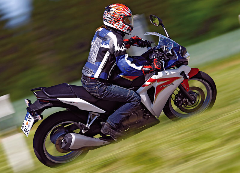 Kradblatt &#8211; Staging