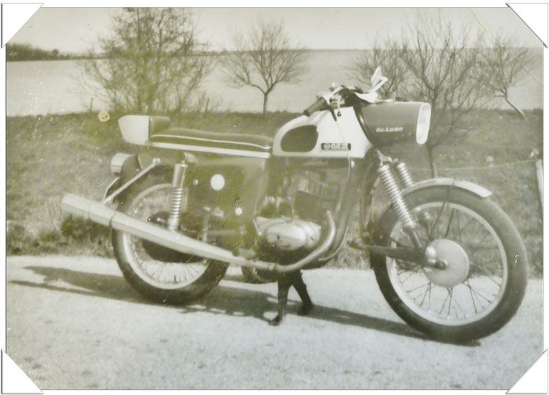 Kradblatt &#8211; Staging