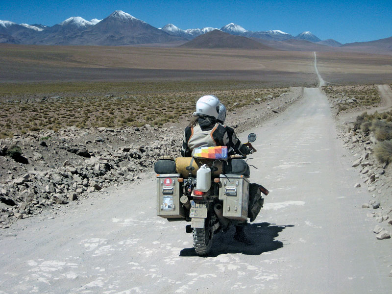 Kradblatt – Staging