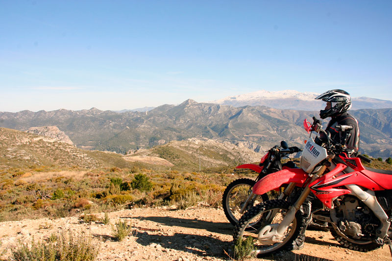 Kradblatt &#8211; Staging